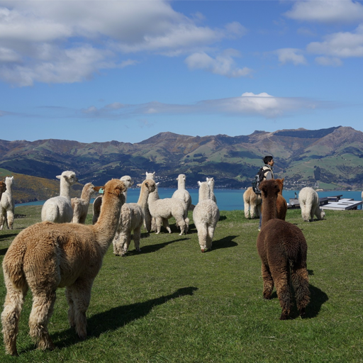 小程序,企業(yè)移動(dòng)辦公,OA,網(wǎng)站建設(shè),連云港網(wǎng)站,連云港網(wǎng)站開(kāi)發(fā)，系統(tǒng)開(kāi)發(fā)，微信開(kāi)發(fā)，微信公眾號(hào)，微信企業(yè)號(hào)，微信訂閱號(hào)，微信服務(wù)號(hào)開(kāi)發(fā),微教育